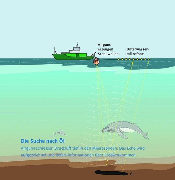 Schallwellen aus Druckluftkanonen sollen Lagerstätten von fossilen Energieträgern ausfindig machen.&nbsp;