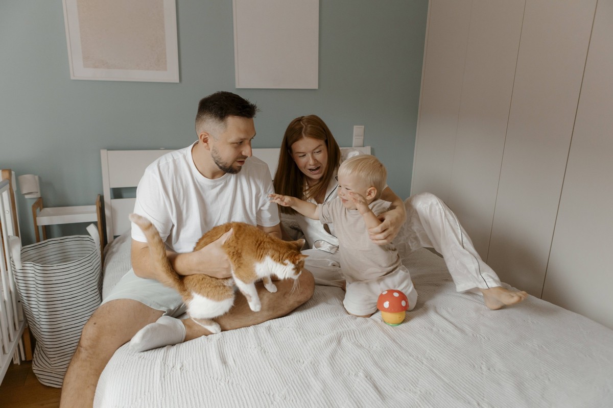 Son playing with cat sitting near parents at home model released, Symbolfoto property released, EHAF00251