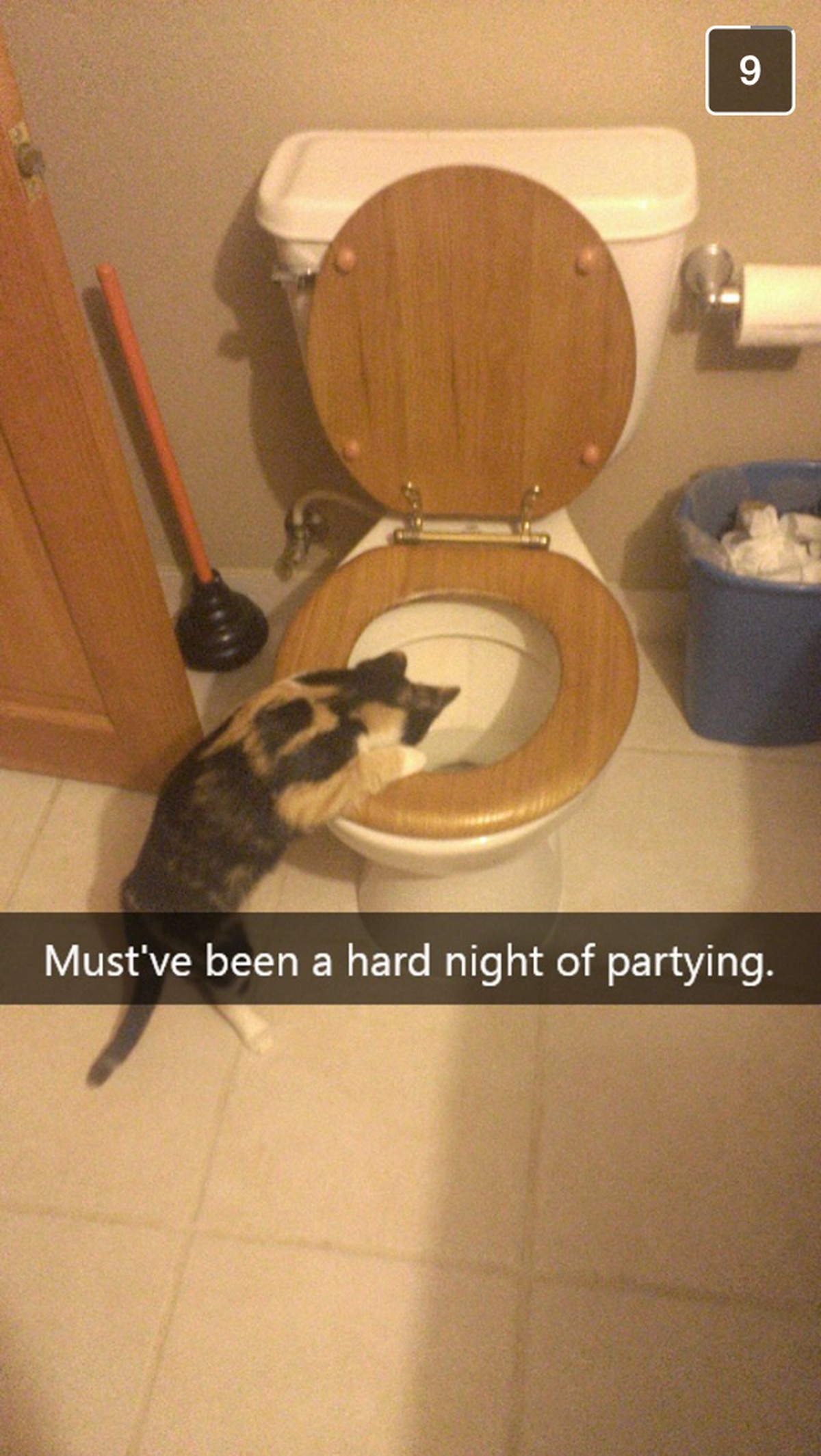Snapchat: Katze kotzt
http://static.boredpanda.com/blog/wp-content/uploads/2016/11/funny-cat-snapchats-28-5819b3756f4c6__700.jpg