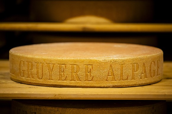 Une vue d&#039;une meule de Gruyere AOP d&#039;Alpage dans les caves d&#039;affinage du Gruyere AOP de l&#039;entreprise Fromco, appartenant au Groupe Emmi le mardi 6 mai 2025 a Moudon dans le canton  ...