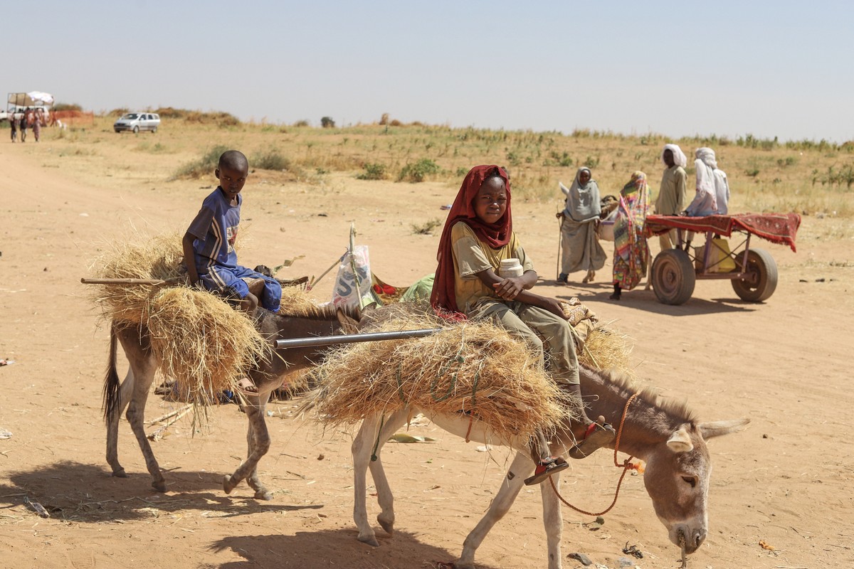 Sudanese who fled el-Fasher city, after Sudan's paramilitary forces killed hundreds of people in the western Darfur region, carry firewood at their camp in Tawila, Sudan, Wednesday, Oct. 29, 2025 ...