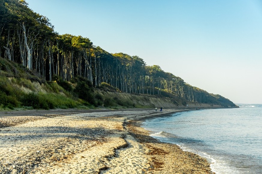 schönste Strände 2026 Nienhagen Geisterwald Ostsee
