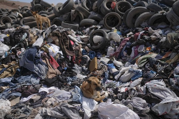 Dogs gather on a large pile of second-hand clothing near La Mula neighborhood in Alto Hospicio, Chile, Monday, Dec. 13, 2021. Chile is a big importer of second hand clothing, and unsold items are dump ...