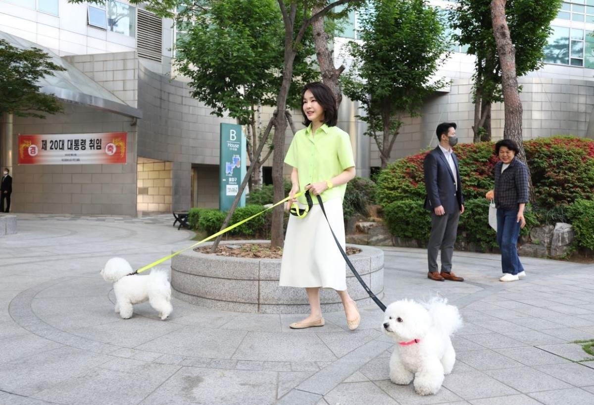<YONHAP PHOTO-2159> �ݷ��߰� �Բ� ������ ����� ��ٱ� �� ���� ����� ���� 
(����=���մ���) ����� ���簡 11�� ���� ���� ���ʱ� ���ÿ��� ������ ����� ��ٱ� ���� ������ �ִ�. 2022.5.11 [����ɽ� ����. ���Ǹ� �� D ...