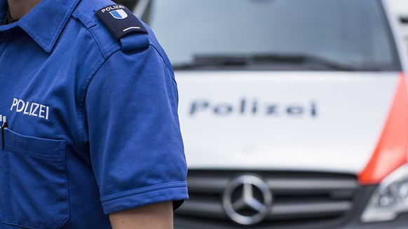 Am frühen Dienstagmorgen musste die Luzerner Polizei zu einem Unfall auf der Autobahn A2 bei Sursee ausrücken. (Symbolbild)