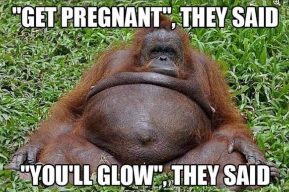 Lustige Bilder und Memes Schwangerschaft schwanger sein