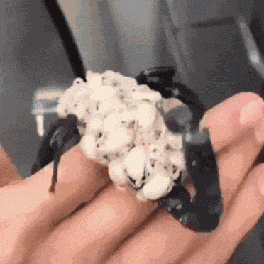 Animiertes GIF