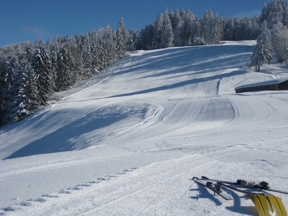 Skilift Oberholz Wald Klimawandel MAZ-Medienwoche