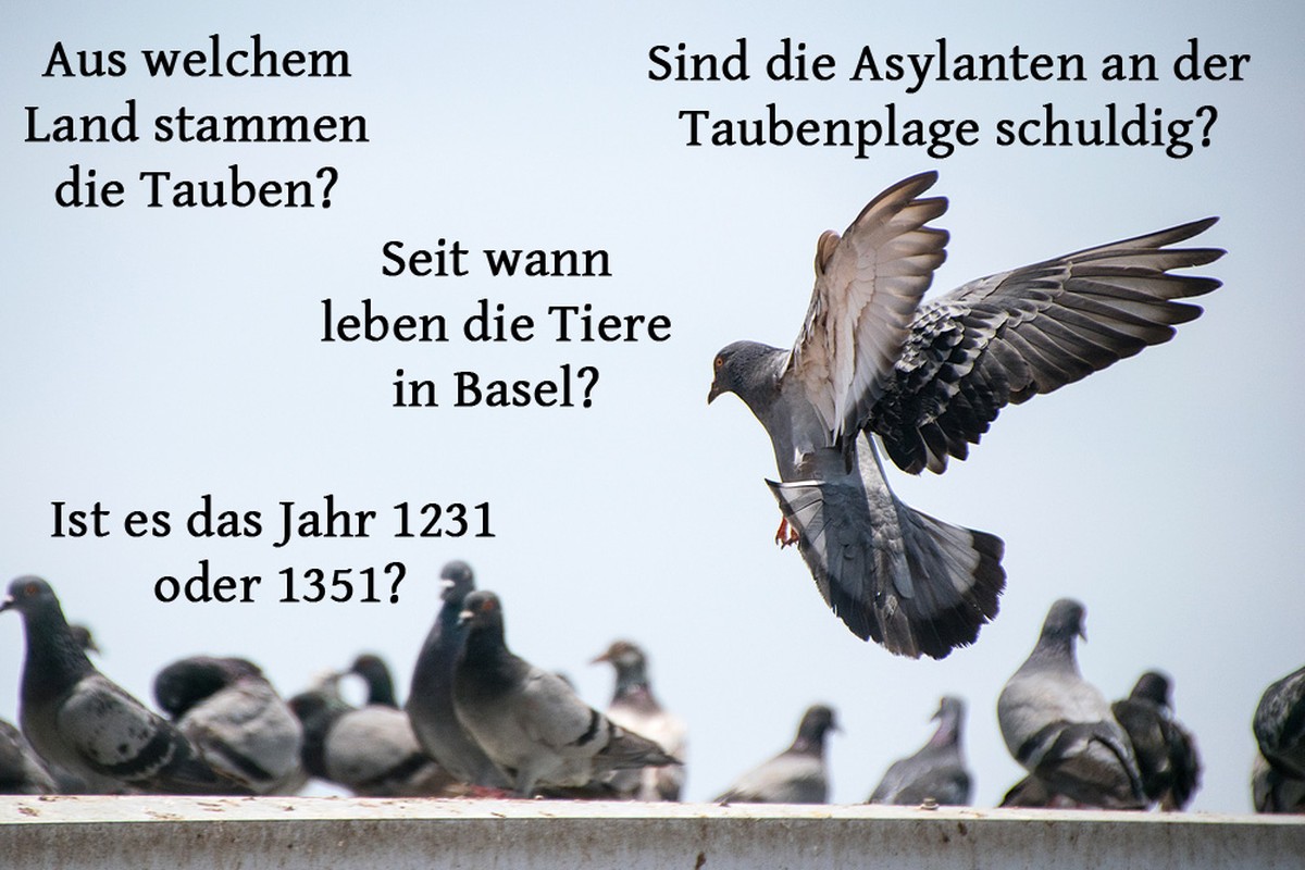 Bild