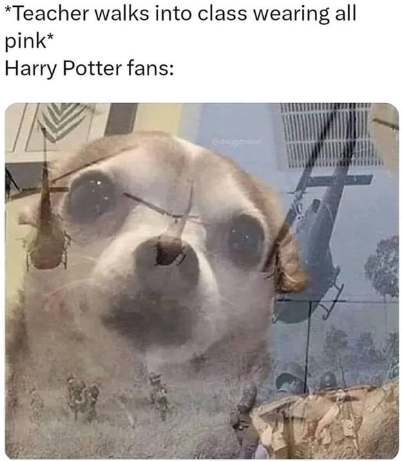 Harry Potter - The best memes about the film series
