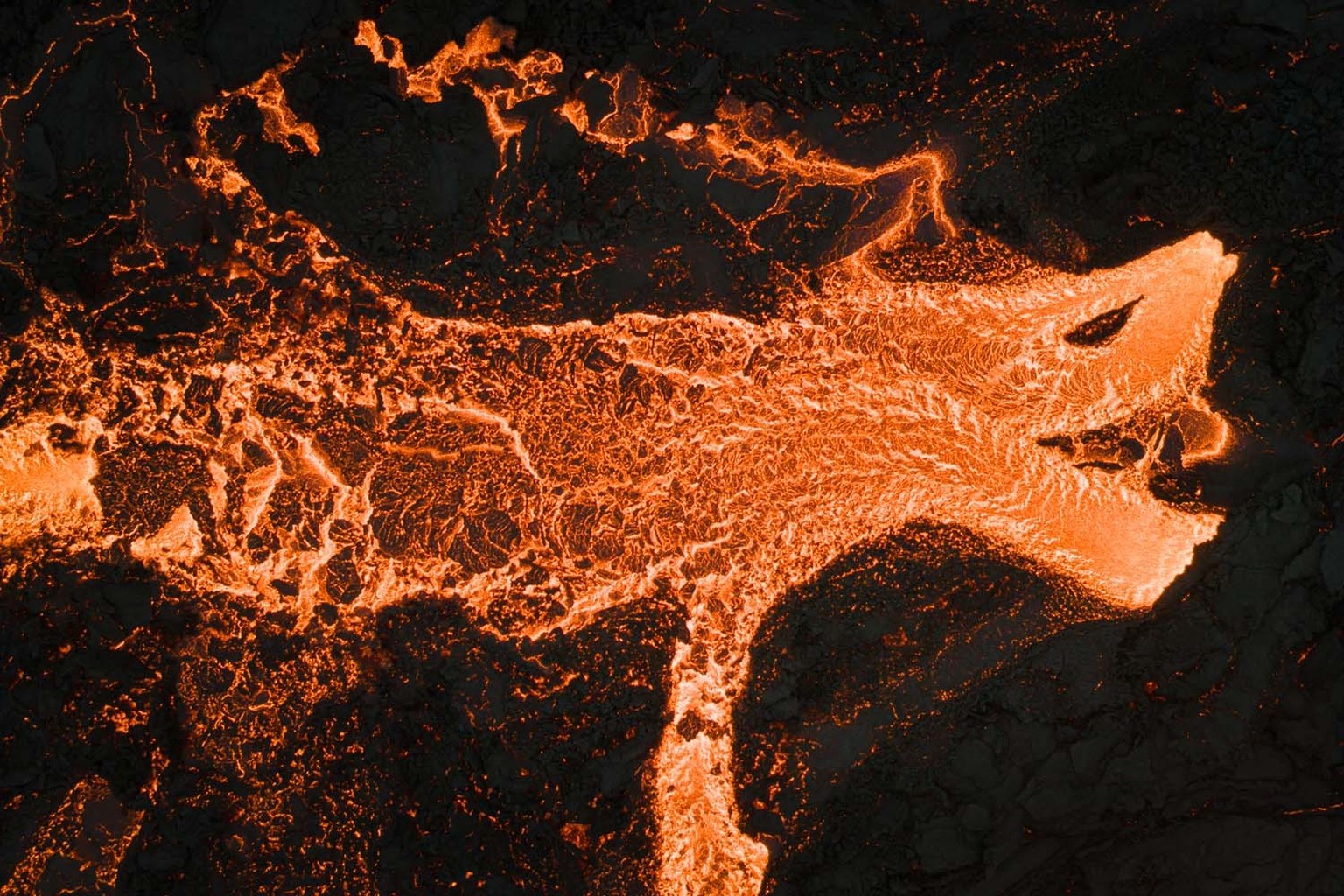 2. Platz Atelier Natur / Lava Dragon