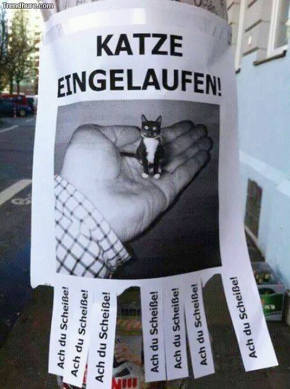 Bild