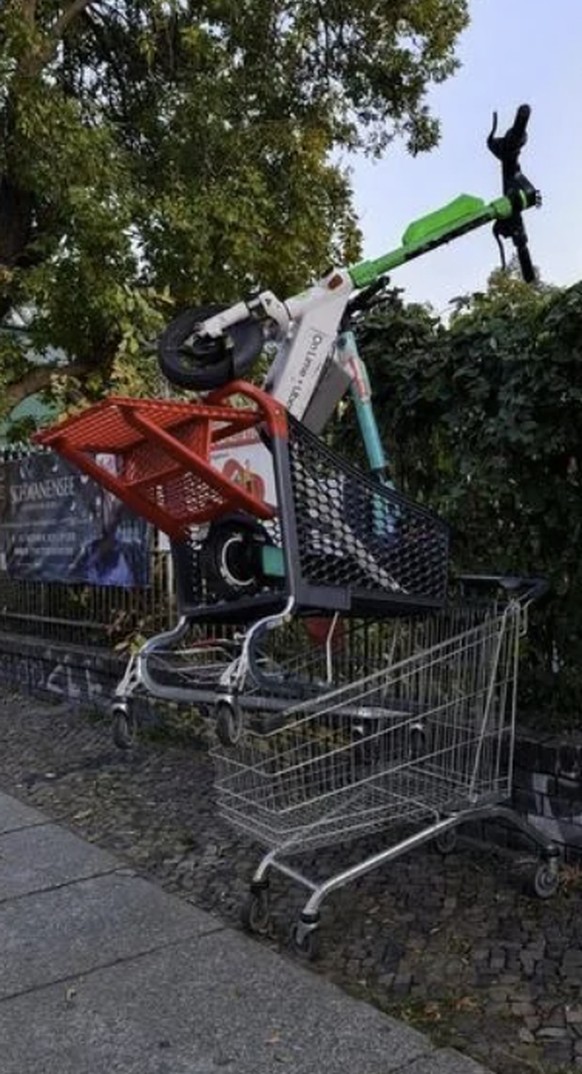 Gittertiere auf Reddit: Lustige Einkaufswagen/Einkaufswägelchen