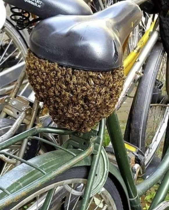 Die lustigsten Fails der Woche