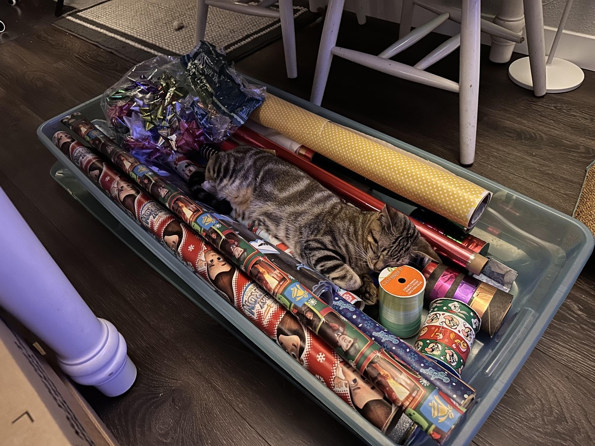 cute news tier katze

https://www.reddit.com/r/WhatsWrongWithYourCat/comments/1hk4k6w/couldnt_decide_how_to_help/