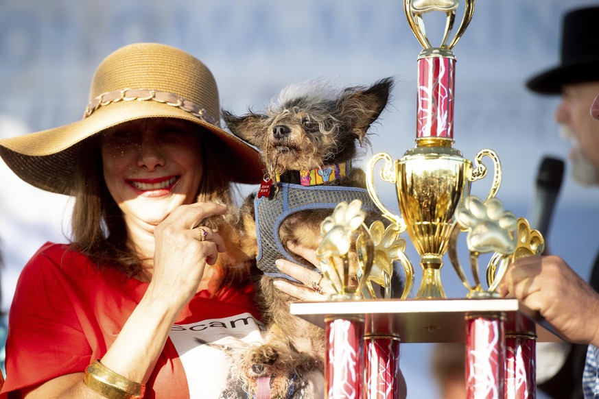 Scamp the Tramp is held by Darlene Wright after winning the World&#039;s Ugliest Dog Contest at the Sonoma-Marin Fair in Petaluma, Calif., on Friday, June 21, 2019. (AP Photo/Noah Berger)