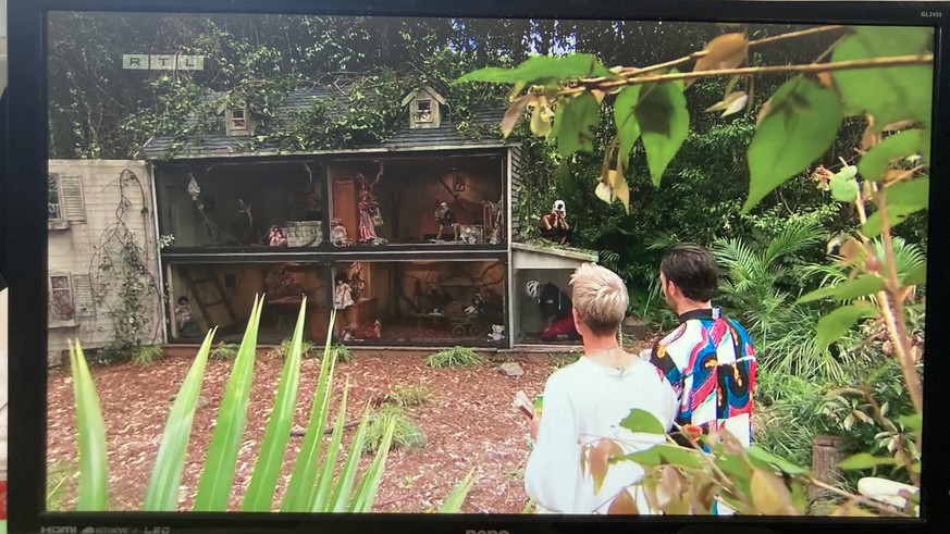 Jungle Camp 2023