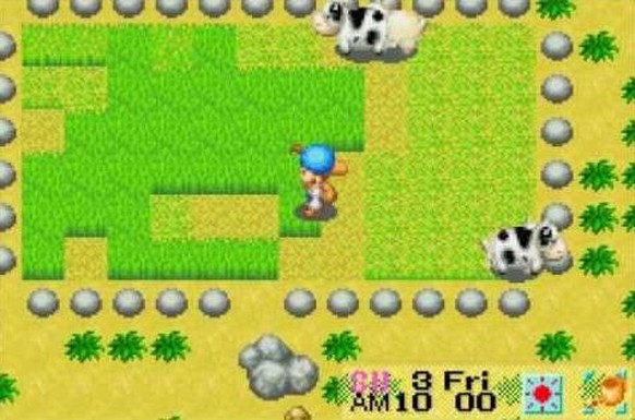 Harvest Moon: Friends of Mineral Town