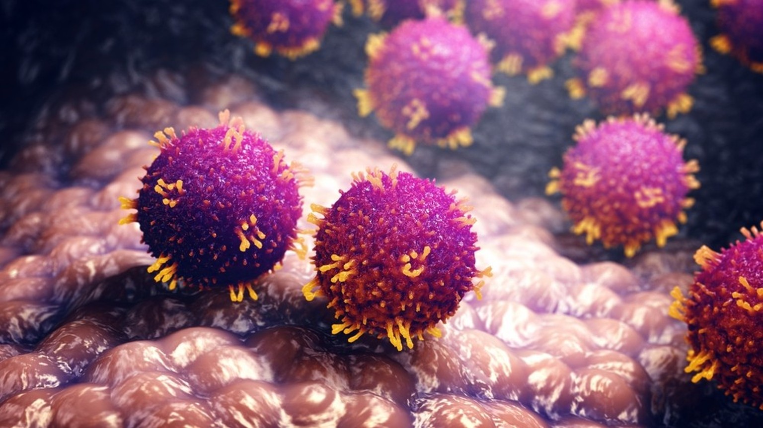 Darstellung des Masernvirus.