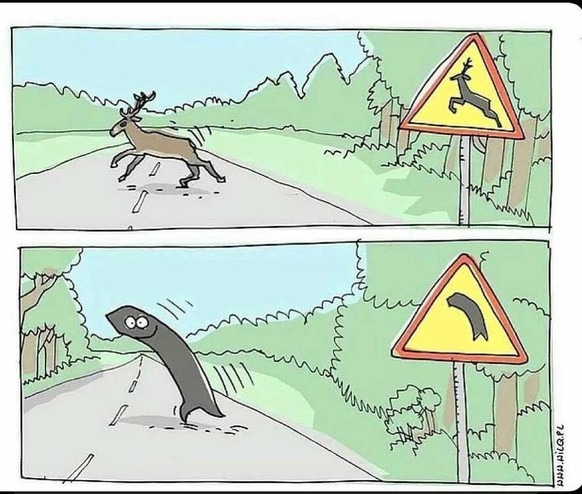 Picdump 189 – Memes, die dich zum Schmelzen bringen\nJa diese Kurven sind gefährlich, habe erst letztens eine erwischt