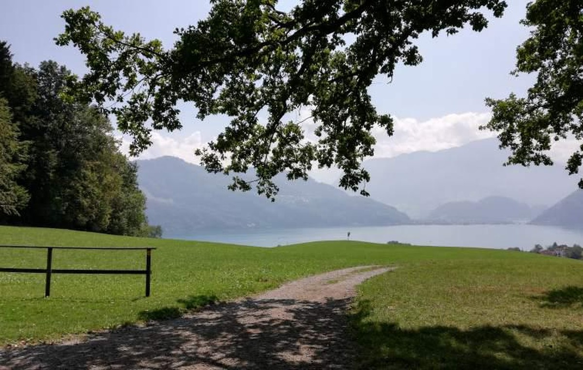 Grillplatz Dickiwald, Horw