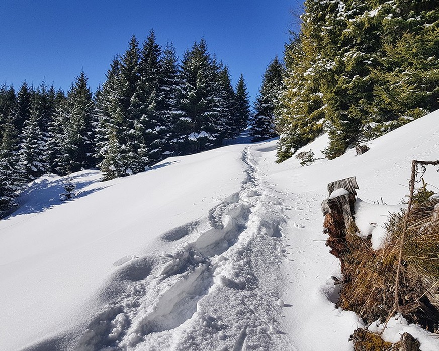 Rauszeit neue Schneeschuhtrails SchweizMobil-Route 371 Flumseralp Panüöl