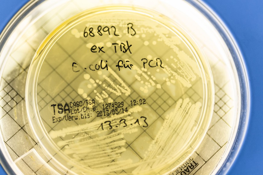 Bei rund 200 Betrieben wurden erhebliche oder grosse Mängel festgestellt.