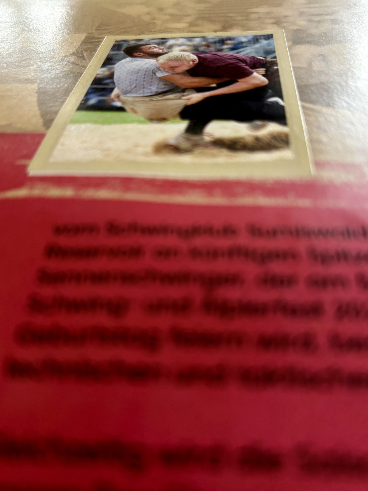 7 Punkte, die beim Schwinger-Panini-Album auffallen