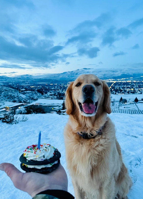 cute news tier hund

https://www.reddit.com/r/AnimalsBeingFunny/comments/1r6wut5/birthday_boi/