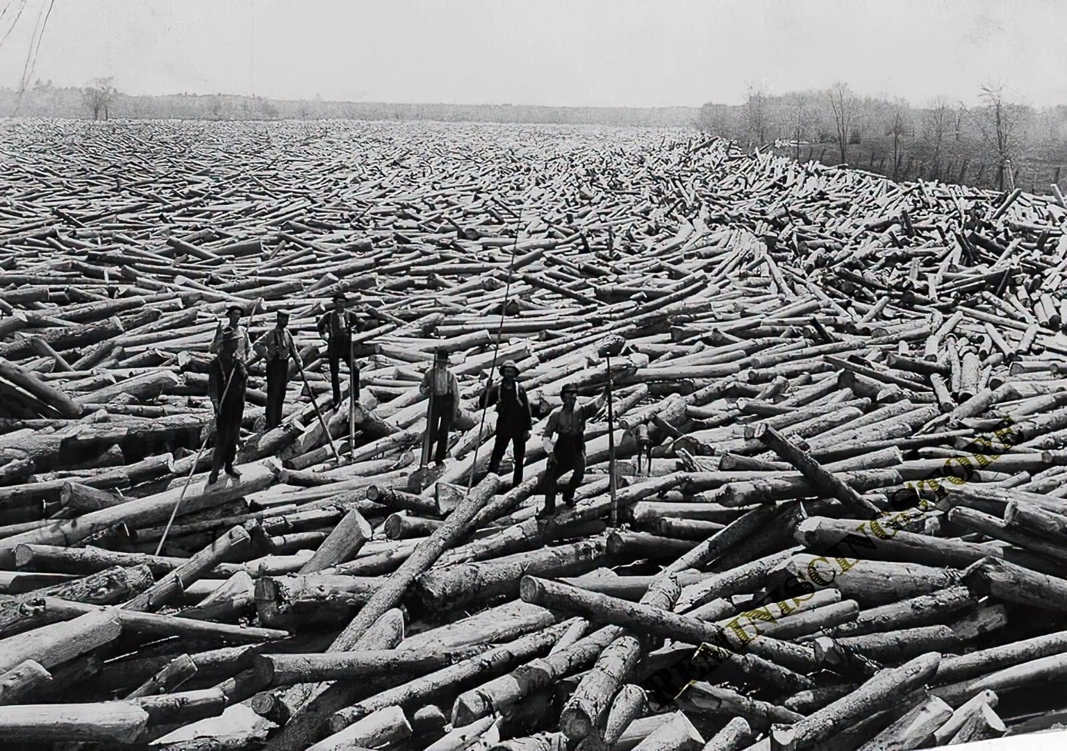 Logs headed down the Hudson from the Adirondacks, 1907