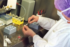 In-Vitro-Befruchtungen sind in der Schweiz erlaubt (hier: Universitätsfrauenklinik in Bern), Eizellenspenden (noch) nicht.