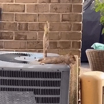 Animiertes GIF