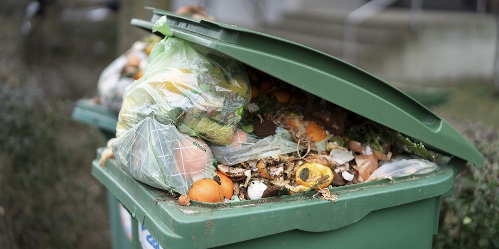 Am Food Save Markt in Altstetten werden Früchte und Gemüse verkauft, die zu reif für Supermärkte sind. Was im Grossvertrieb im Kompost landen und zu Biogas verwertet werden würde, kann man hier noch p ...