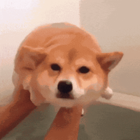 Animiertes GIF