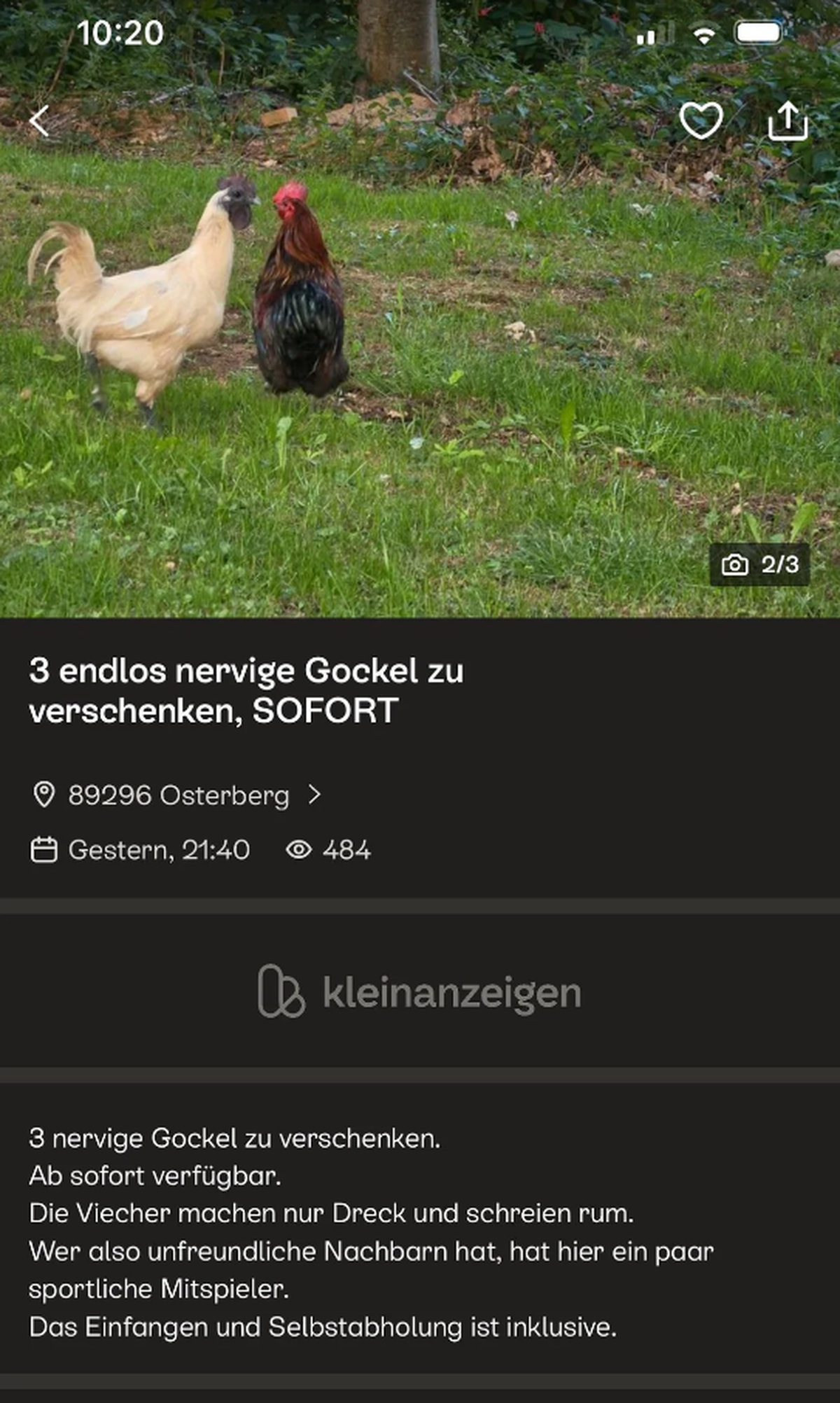 Lustige Fails der Woche: