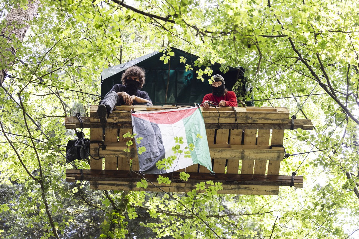 Des activistes montent un camp en foret ce samedi, 15 juin 2024 a Ballens. des activistes de "Grondements des Terres" pour la protection du vivant ont debute l?occupation du Bois de Ballens. ...