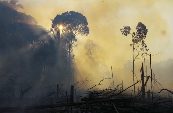 The sun shines through clouds of smoke in an area consumed by fires near Labrea, Amazonas state, Brazil, Friday, Aug. 7, 2020. According to the National Institute for Space Research, fires in the Braz ...