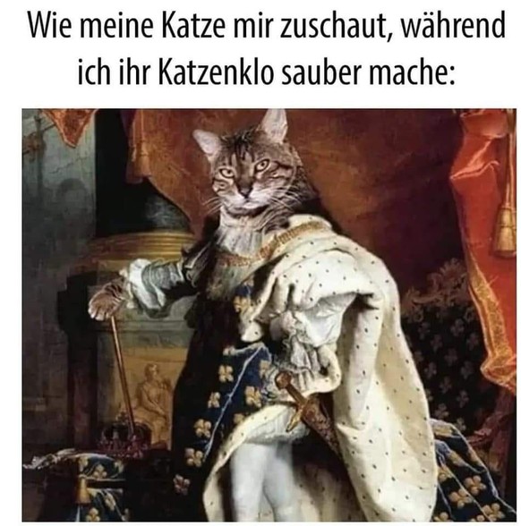 PICDUMP 413 – Ein Chrüsimüsi aus Spassigkeiten! 🙃\n😸