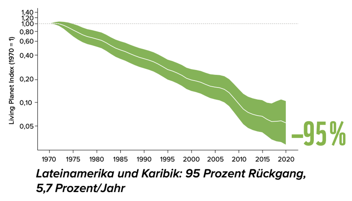 Besonders in Lateinamerika und der Karibik ist das Schwinden der Populationen dramatisch.