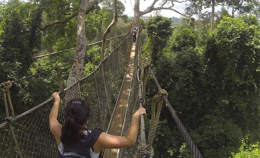 Kakum National Park, Ghana