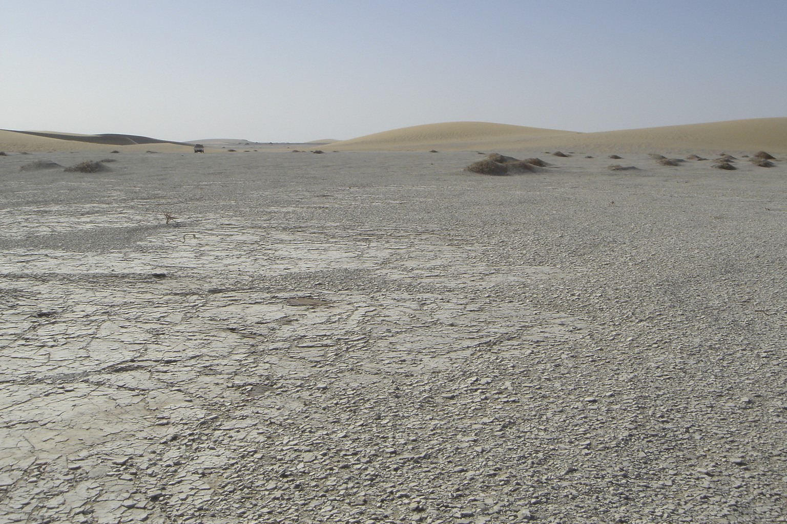 This photo provided by the University of Poitiers in August 2022 shows the Djurab Desert where the fossil sites that yielded remains of Sahelanthropus tchadensis are located. Based on arm and leg foss ...