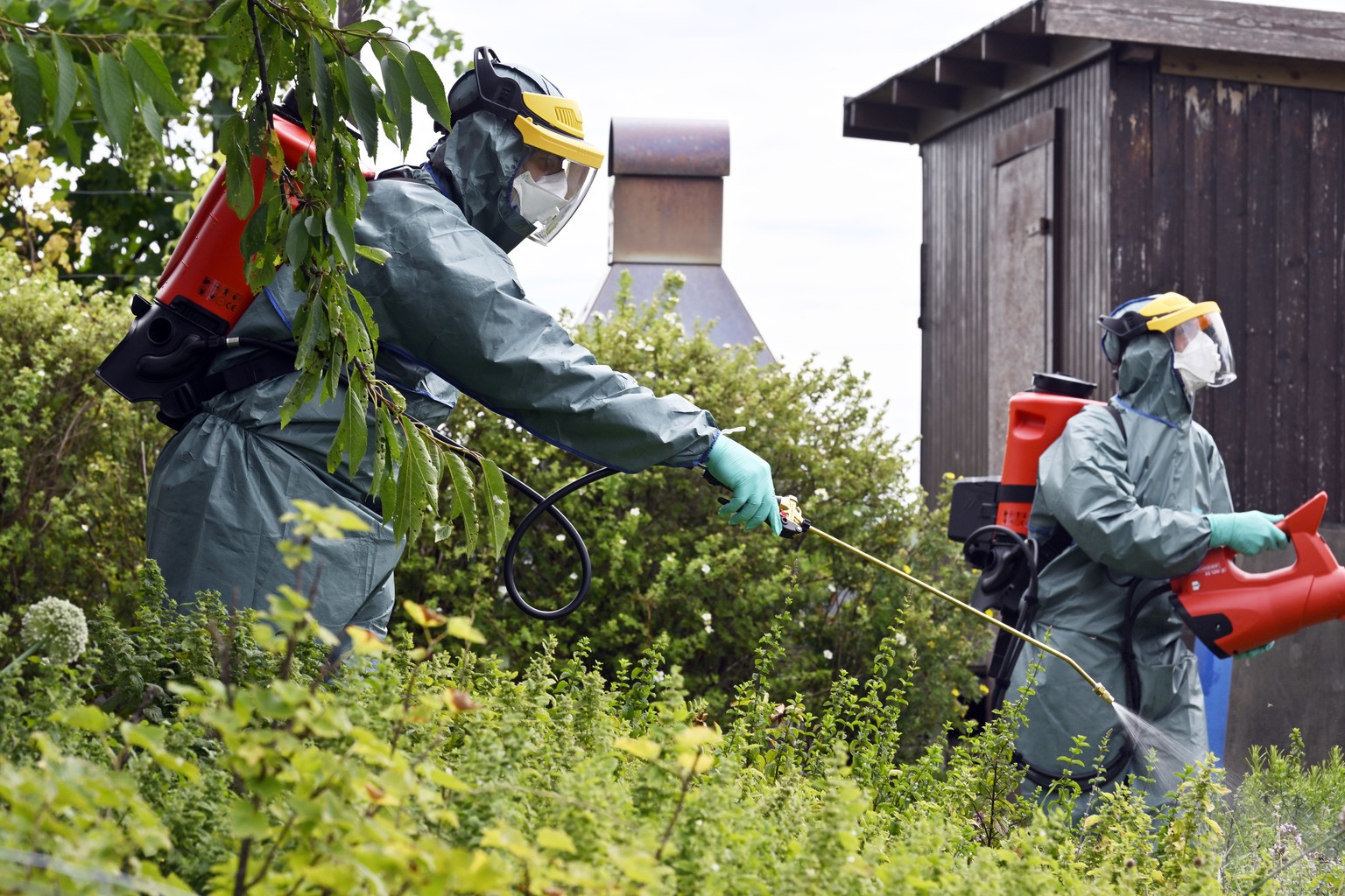 Insektizideinsatz gegen den Japankaefer in einem Garten in Kloten am Donnerstag, 27. Juli 2023. (KEYSTONE/Walter Bieri)