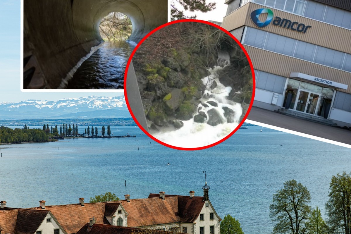 Des tonnes de mousse toxique ont fini dans le lac de Constance.