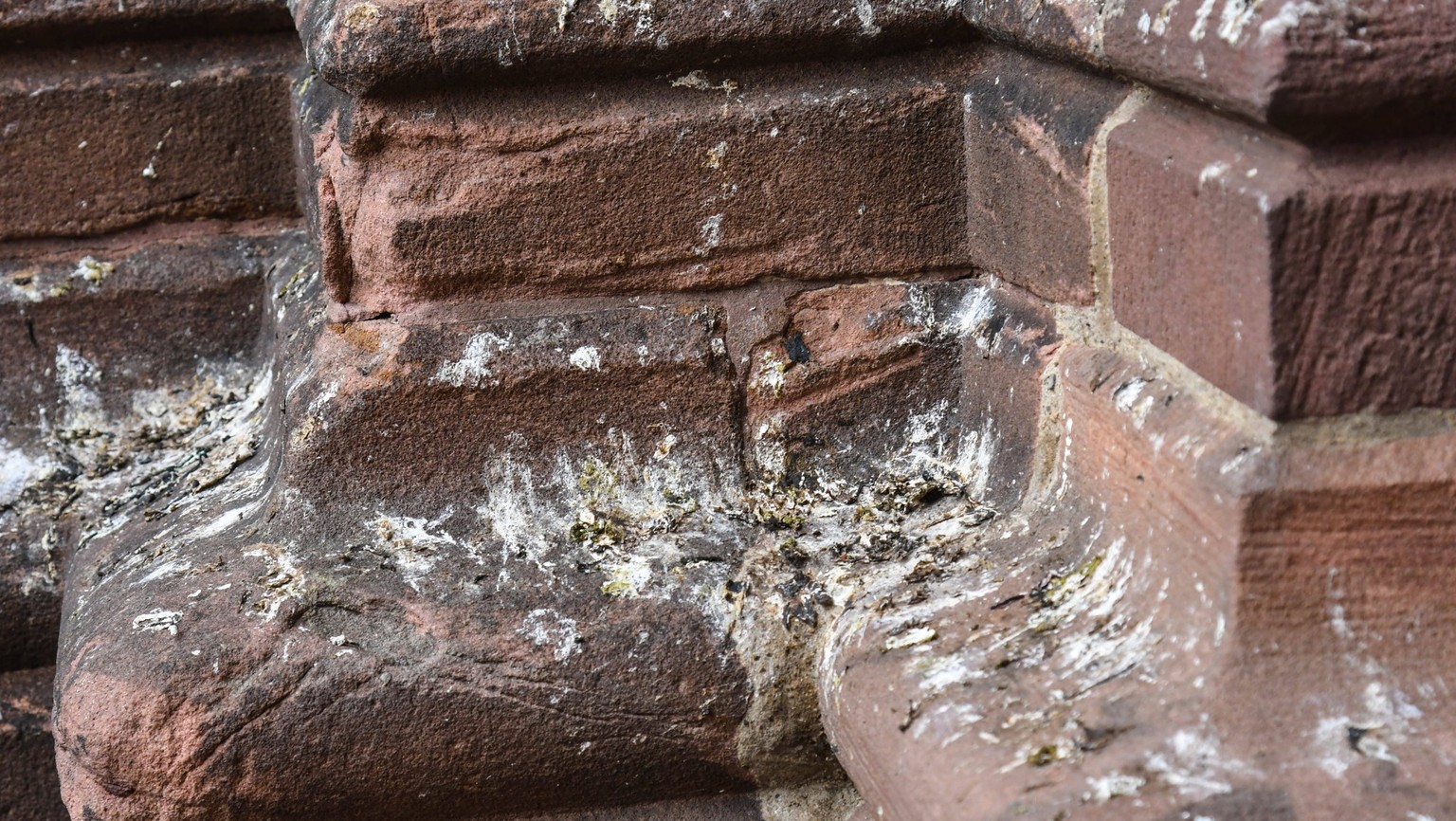 Taubenkot auf den Sandsteinquadern am Eingang zum Muenster in Freiburg. Foto:Winfried Rothermel *** Pigeon droppings on the sandstone blocks at the entrance to the cathedral in Freiburg Photo Winfried ...