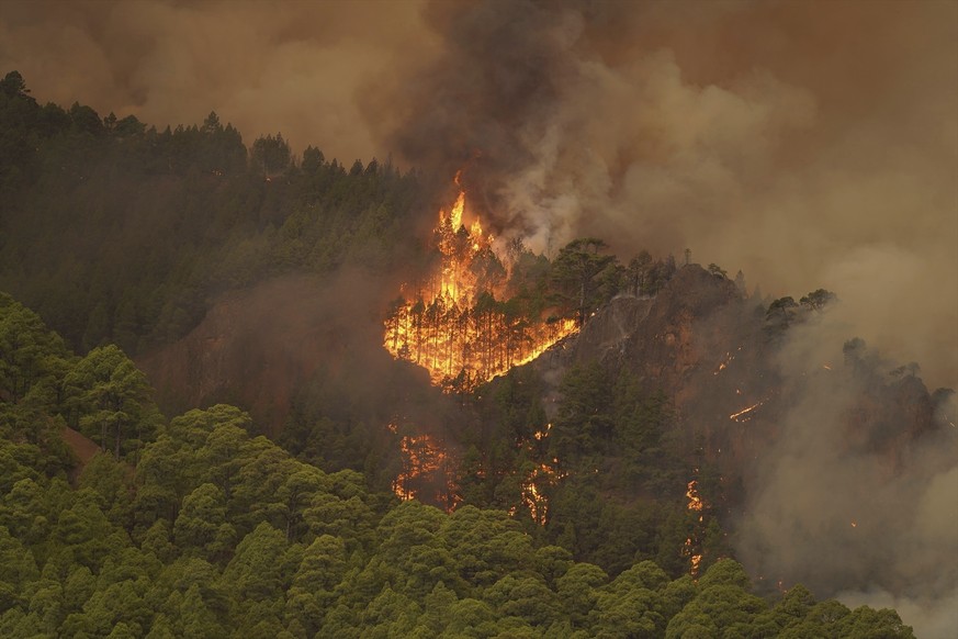 The flames advance through the forest near the town of El Rosario, as wildfire continues to burn on Tenerife, Canary Islands, Wednesday, Aug. 16, 2023. An out-of-control wildfire on the Spanish Canary ...