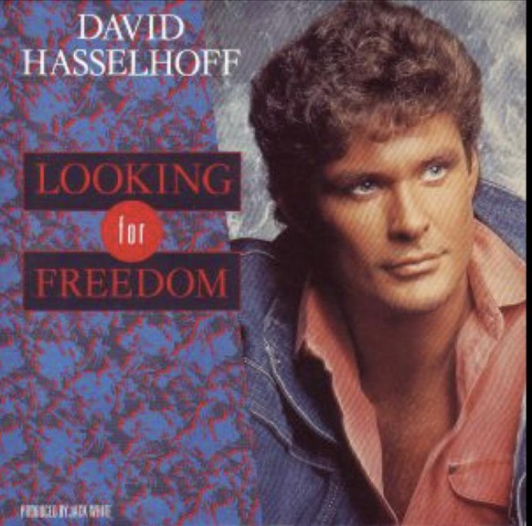 Das sind unsere ersten Musik-CDs* – und deine?\nLooking for freedom von David „Don‘t hassel the Hoff“ Hasselhoff. Hab ich mir sogar noch auf Vinyl gekauft. Das war grad so die Zeit, als Vinyl noch akt ...