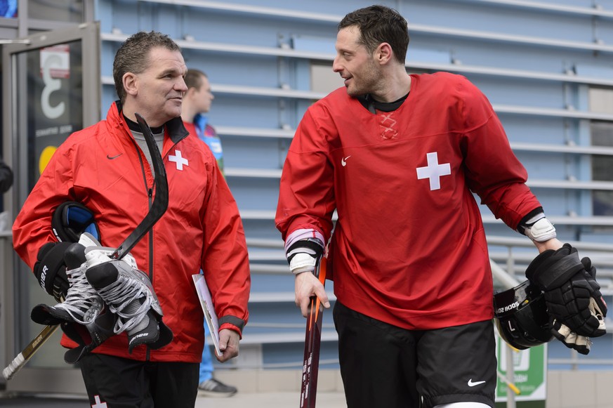 Streit wird Simspon an der WM 2014 nicht zur Seite stehen.