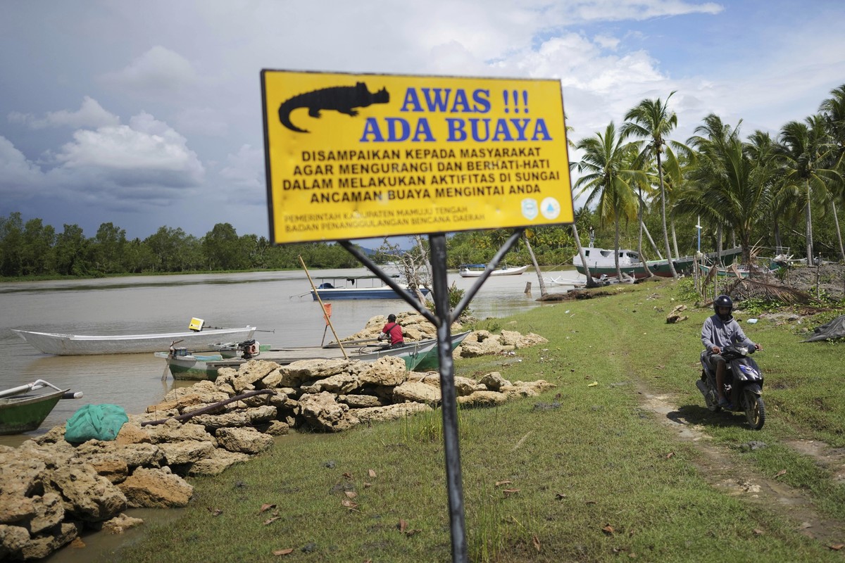 A crocodile warning sign is displayed by the river in Budong-Budong, West Sulawesi Island, Indonesia, Monday, Feb. 24, 2025. The sign reads "Beware of crocodile! Please be on alert while doing ac ...