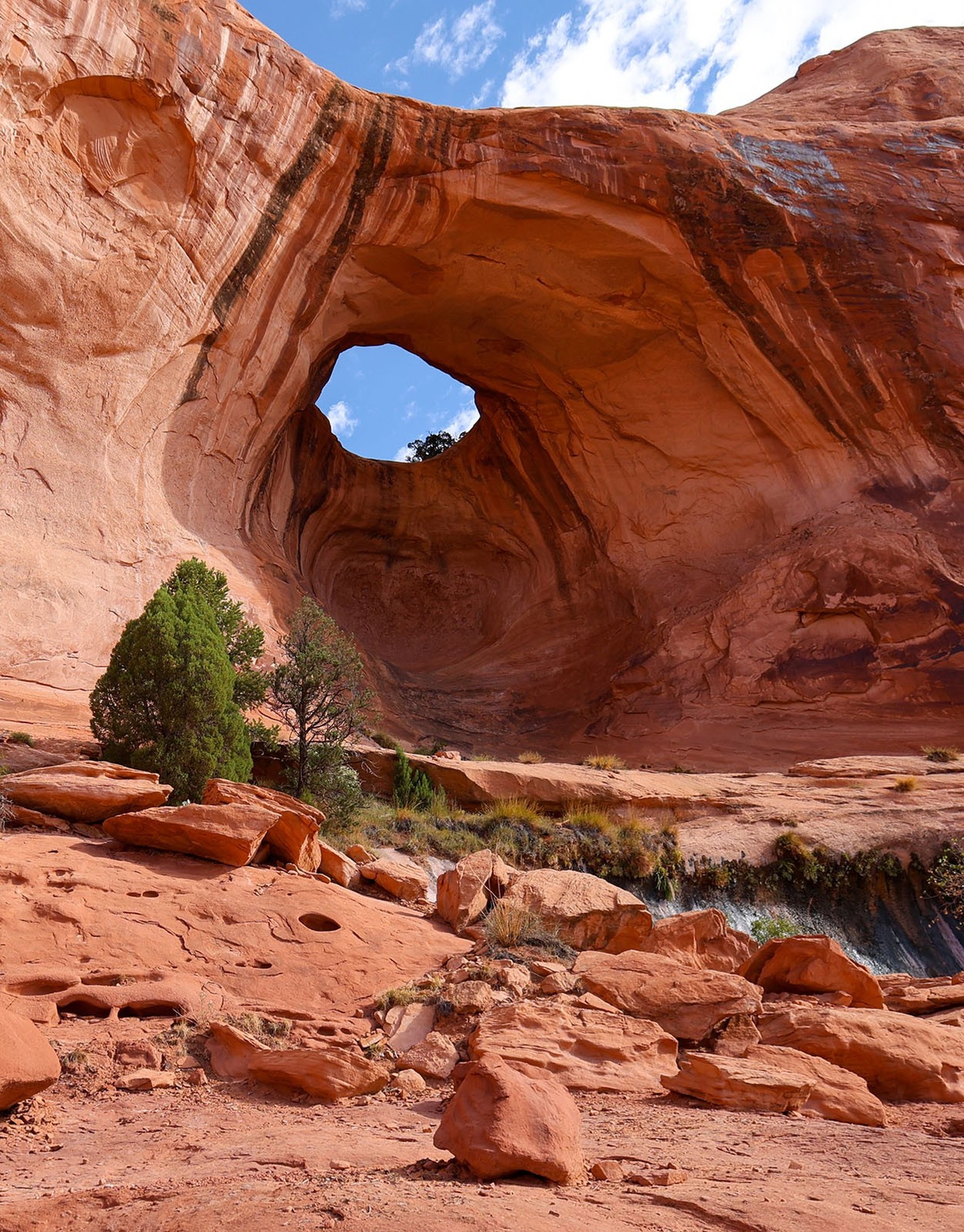 Shawn Vales USA: Bilder nur in Absprache mit Toggi verwenden.