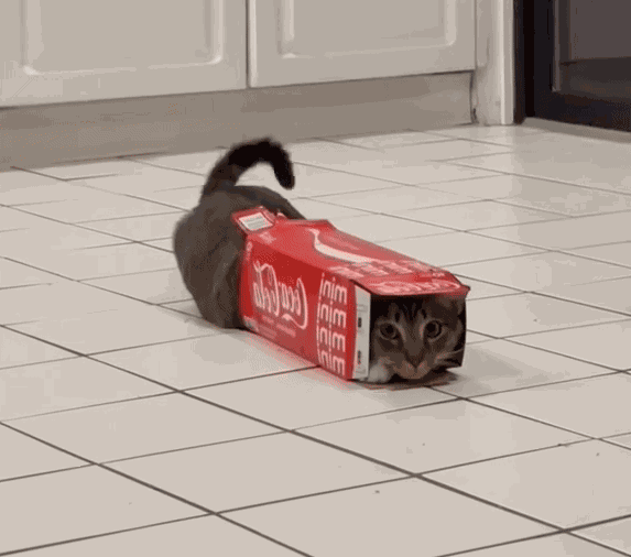 Animiertes GIF
